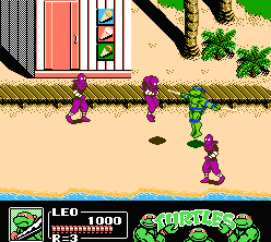 Teenage Mutant Ninja Turtles III (NES)